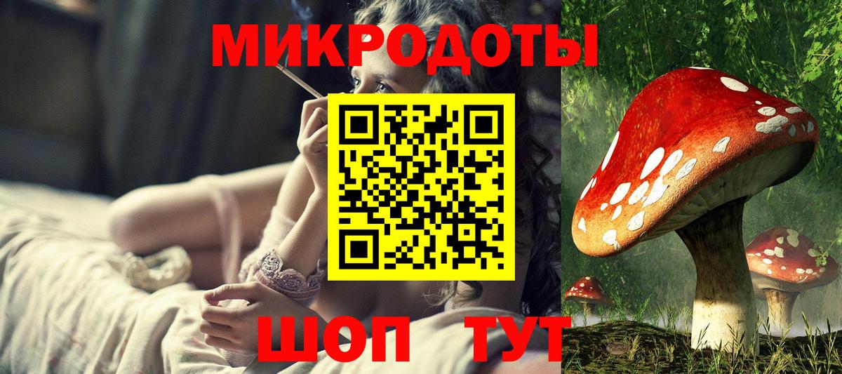 Галлюциногенные грибы Cubensis Долгопрудный