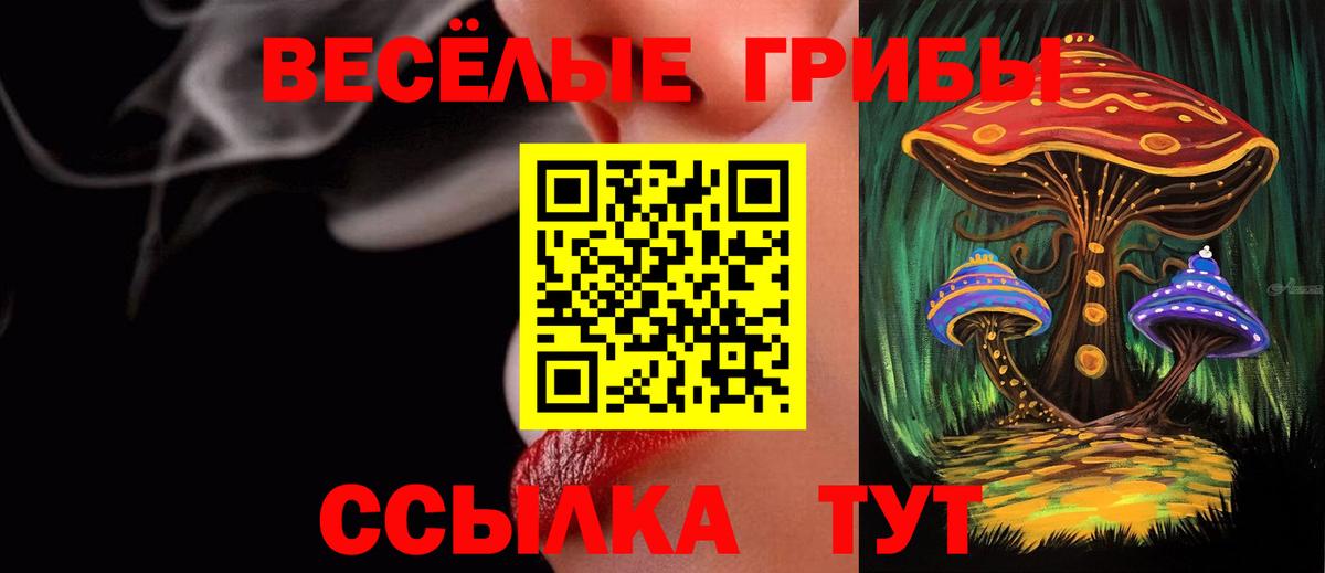 Галлюциногенные грибы MAGIC MUSHROOMS  Псилоцибиновые грибы Psilocybine cubensis  Долгопрудный  Вход с VPN 